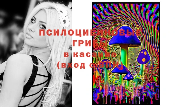 гидра Алзамай