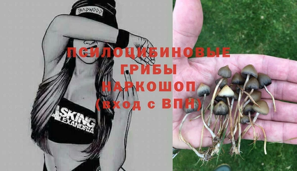 крисы Алексеевка