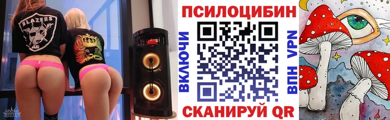 KRAKEN ссылки  Королёв  Галлюциногенные грибы мицелий 