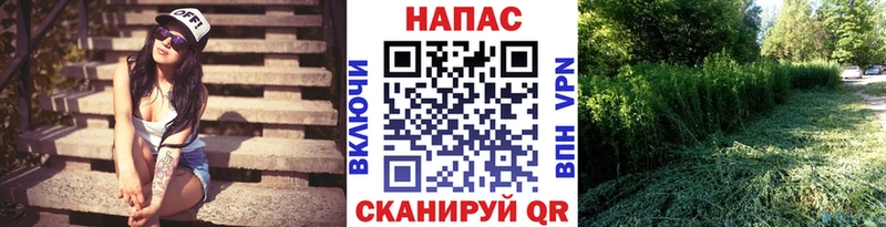 где купить наркотик  Королёв  Канабис план 